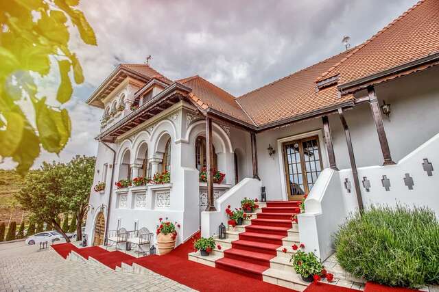 Гостевой дом Casa Timiș Chiţorani-4